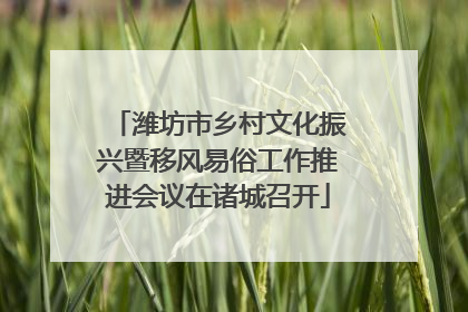 潍坊市乡村文化振兴暨移风易俗工作推进会议在诸城召开