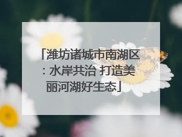 潍坊诸城市南湖区：水岸共治 打造美丽河湖好生态