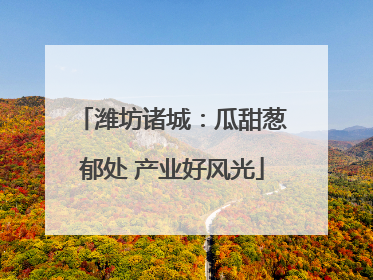 潍坊诸城：瓜甜葱郁处 产业好风光