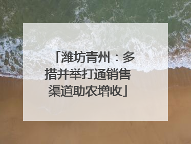 潍坊青州：多措并举打通销售渠道助农增收