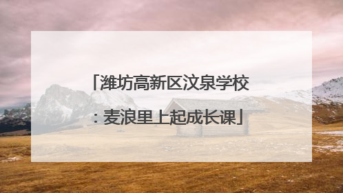 潍坊高新区汶泉学校：麦浪里上起成长课