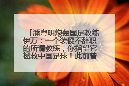 潘粤明炮轰国足教练伊万：一个装傻不辞职的所谓教练，你指望它拯救中国足球！此前曾多次发文评价国足