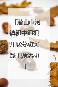 潜山市河镇初中组织开展劳动实践主题活动