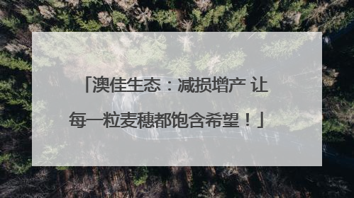 澳佳生态：减损增产 让每一粒麦穗都饱含希望！