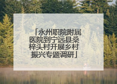 永州职院附属医院到宁远县桑梓头村开展乡村振兴专题调研