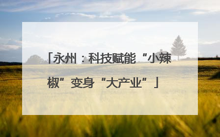永州：科技赋能“小辣椒”变身“大产业”