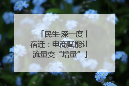 民生·深一度丨宿迁：电商赋能让流量变“增量”