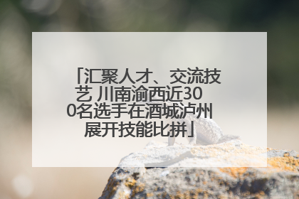 汇聚人才、交流技艺 川南渝西近300名选手在酒城泸州展开技能比拼
