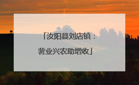 汝阳县刘店镇：薯业兴农助增收