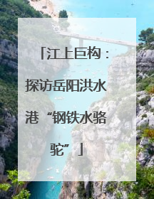江上巨构：探访岳阳洪水港“钢铁水骆驼”