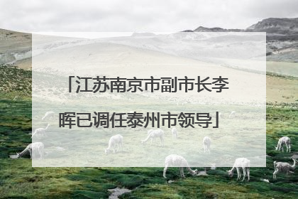 江苏南京市副市长李晖已调任泰州市领导