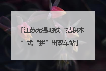 江苏无锡地铁“搭积木”式“拼”出双车站
