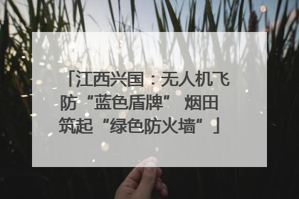 江西兴国：无人机飞防“蓝色盾牌” 烟田筑起“绿色防火墙”