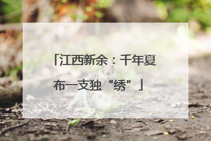 江西新余：千年夏布一支独“绣”