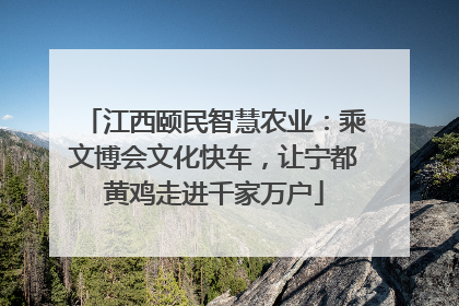 江西颐民智慧农业：乘文博会文化快车，让宁都黄鸡走进千家万户