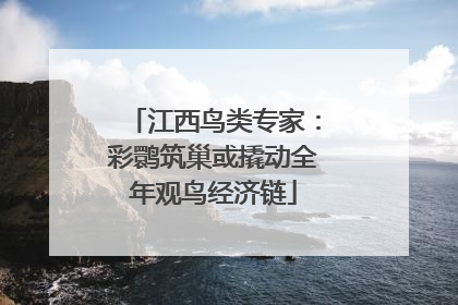 江西鸟类专家：彩鹮筑巢或撬动全年观鸟经济链