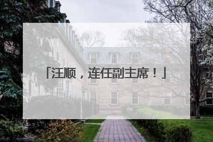汪顺，连任副主席！