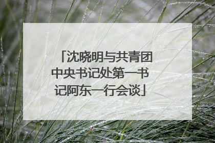 沈晓明与共青团中央书记处第一书记阿东一行会谈