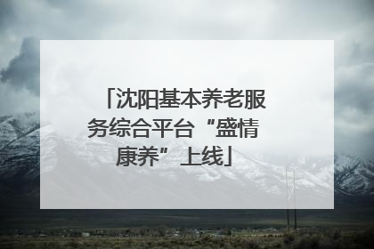 沈阳基本养老服务综合平台“盛情康养”上线