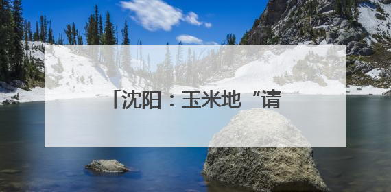 沈阳：玉米地“请”来赤眼蜂 科技赋能农业助绿色增产