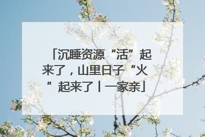 沉睡资源“活”起来了，山里日子“火”起来了丨一家亲
