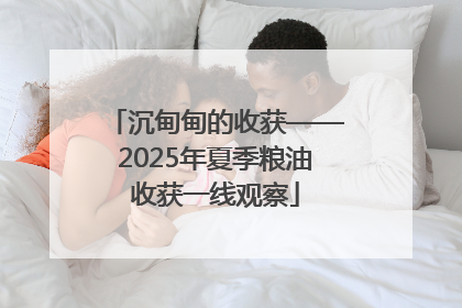 沉甸甸的收获——2025年夏季粮油收获一线观察