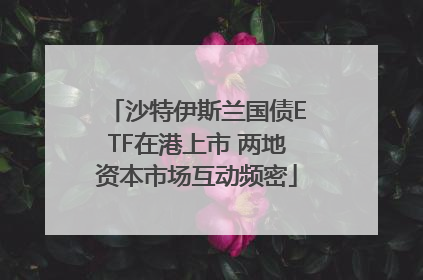 沙特伊斯兰国债ETF在港上市 两地资本市场互动频密