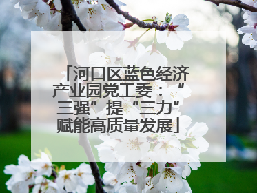 河口区蓝色经济产业园党工委：“三强”提“三力”赋能高质量发展