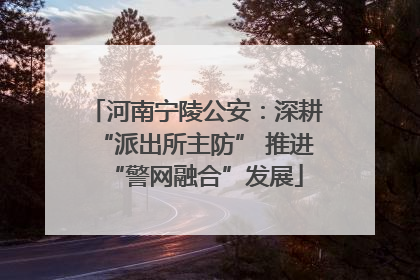河南宁陵公安：深耕“派出所主防” 推进“警网融合”发展