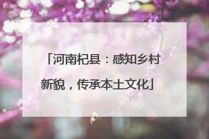 河南杞县：感知乡村新貌，传承本土文化