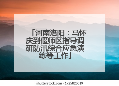 河南洛阳：马怀庆到偃师区指导调研防汛综合应急演练等工作