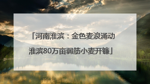 河南淮滨：金色麦浪涌动 淮滨80万亩弱筋小麦开镰