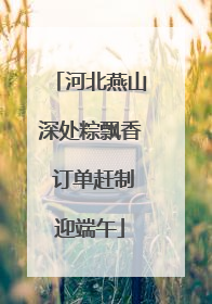河北燕山深处粽飘香 订单赶制迎端午