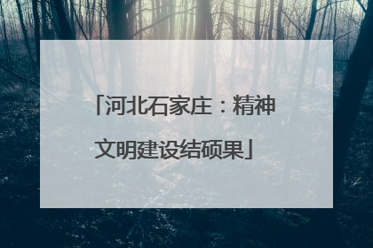 河北石家庄：精神文明建设结硕果