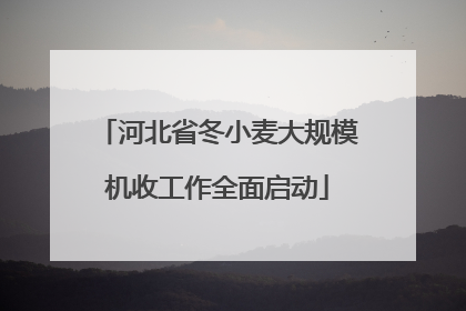河北省冬小麦大规模机收工作全面启动
