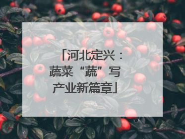 河北定兴：蔬菜“蔬”写产业新篇章