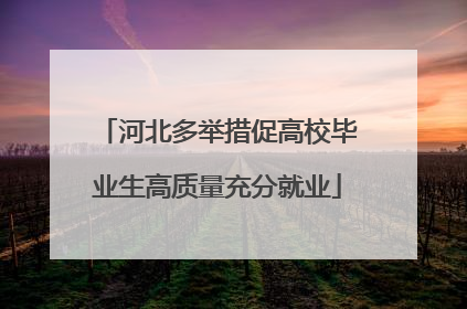 河北多举措促高校毕业生高质量充分就业