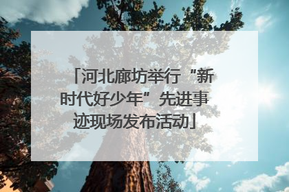 河北廊坊举行“新时代好少年”先进事迹现场发布活动