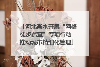 河北衡水开展“网格徒步踏查”专项行动 推动城市精细化管理