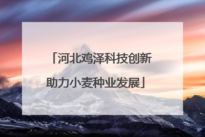 河北鸡泽科技创新助力小麦种业发展