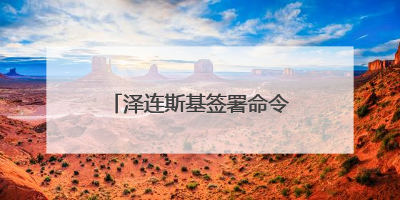 泽连斯基签署命令，任命乌克兰无人系统部队新司令，其曾是商界大佬