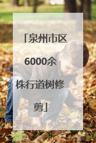泉州市区6000余株行道树修剪