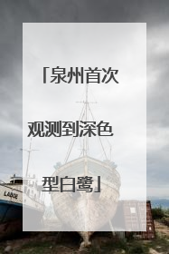 泉州首次观测到深色型白鹭