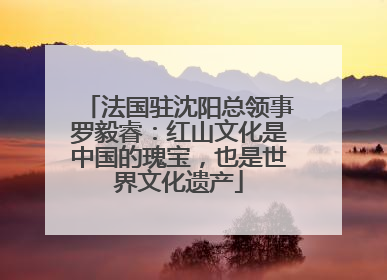 法国驻沈阳总领事罗毅睿：红山文化是中国的瑰宝，也是世界文化遗产