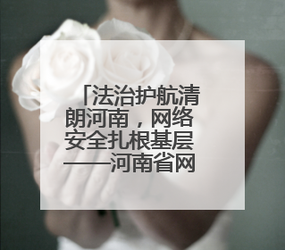 法治护航清朗河南，网络安全扎根基层——河南省网络安全和法治教育进基层活动正式启动