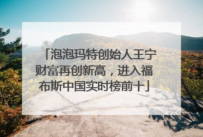 泡泡玛特创始人王宁财富再创新高，进入福布斯中国实时榜前十