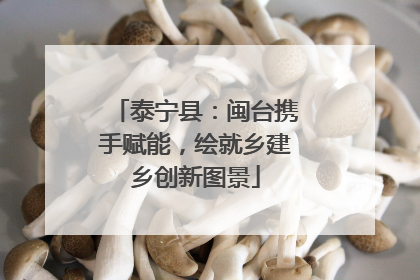 泰宁县：闽台携手赋能，绘就乡建乡创新图景