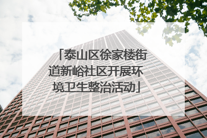 泰山区徐家楼街道新峪社区开展环境卫生整治活动
