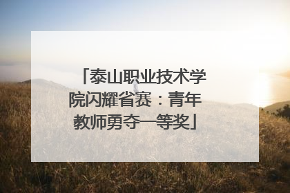 泰山职业技术学院闪耀省赛：青年教师勇夺一等奖