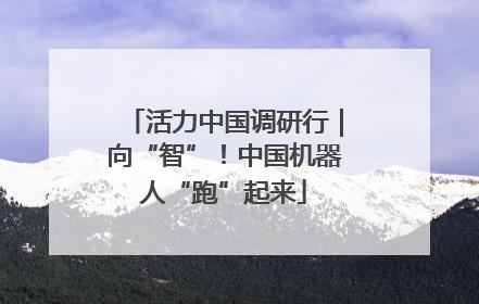 活力中国调研行｜向“智”！中国机器人“跑”起来